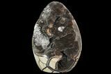Polished Septarian Geode Sculpture - Black Crystals #99441-1